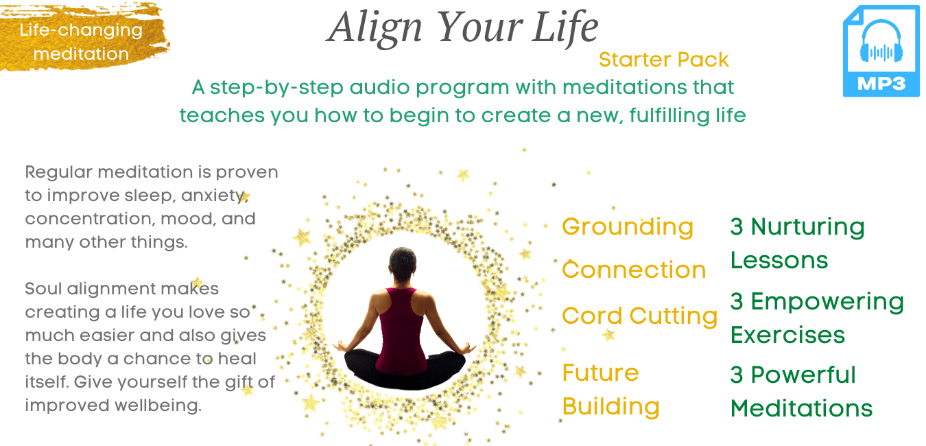 align your life info